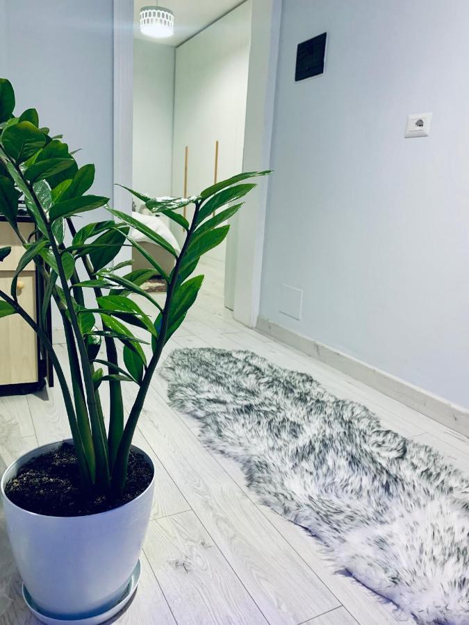 Appartamento Cozy Corner Tirana Esterno foto