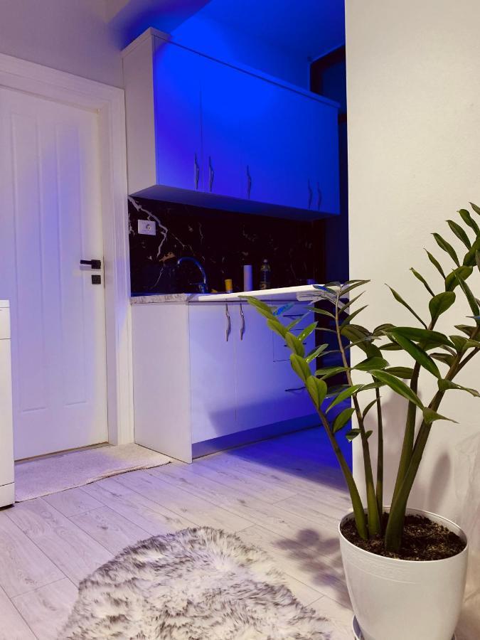 Appartamento Cozy Corner Tirana Esterno foto